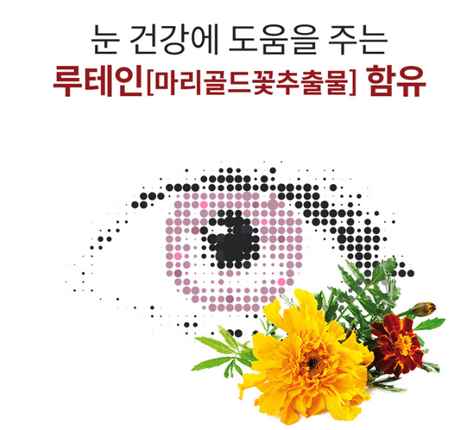 루테인 눈건강 영양제 중학생 수험생