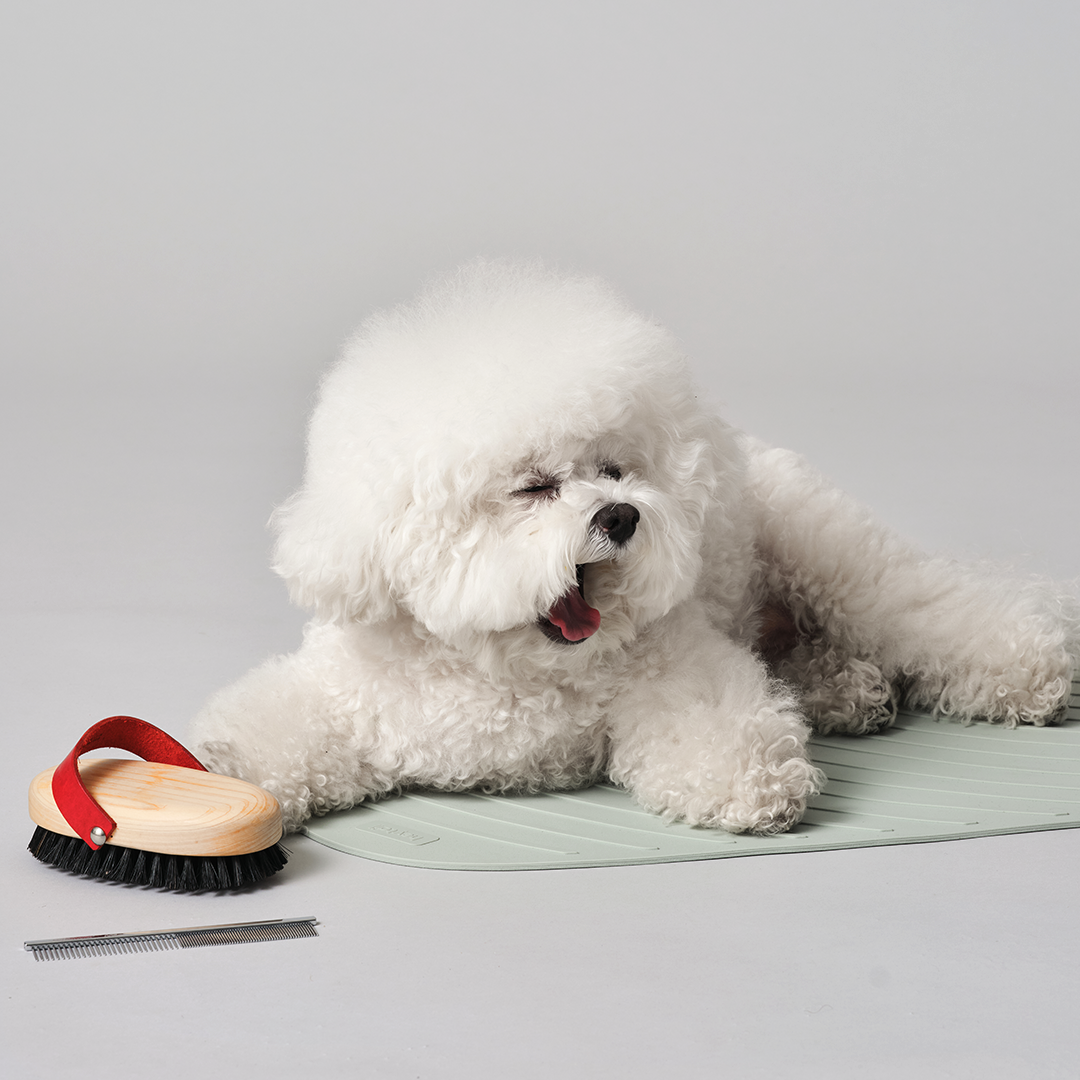 헤이테일 강아지 논슬립 목욕매트 미끄럼방지 미용 테이블 매트