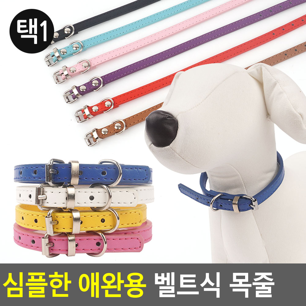 강아지 산책 목줄 말티즈 포메라니안 푸들 시바견 소형견 중형견 - 상세 이미지 5
