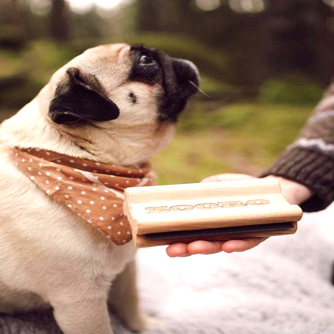 주로빗 미니 강아지 고양이 죽은털제거 브러쉬