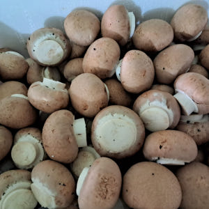 국내산 친환경 무농약 브라운 양송이버섯 1kg 특품 최상품 맛있게 먹은 솔직 후기 - 상품 이미지 4