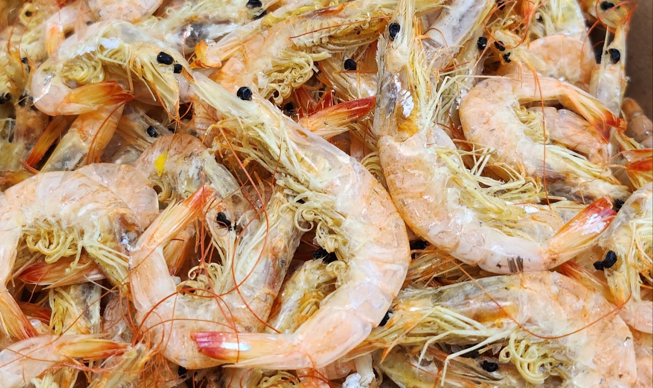 국산 서해안 중하새우 건새우 육수용 200g, 1개 - 상세 이미지 4