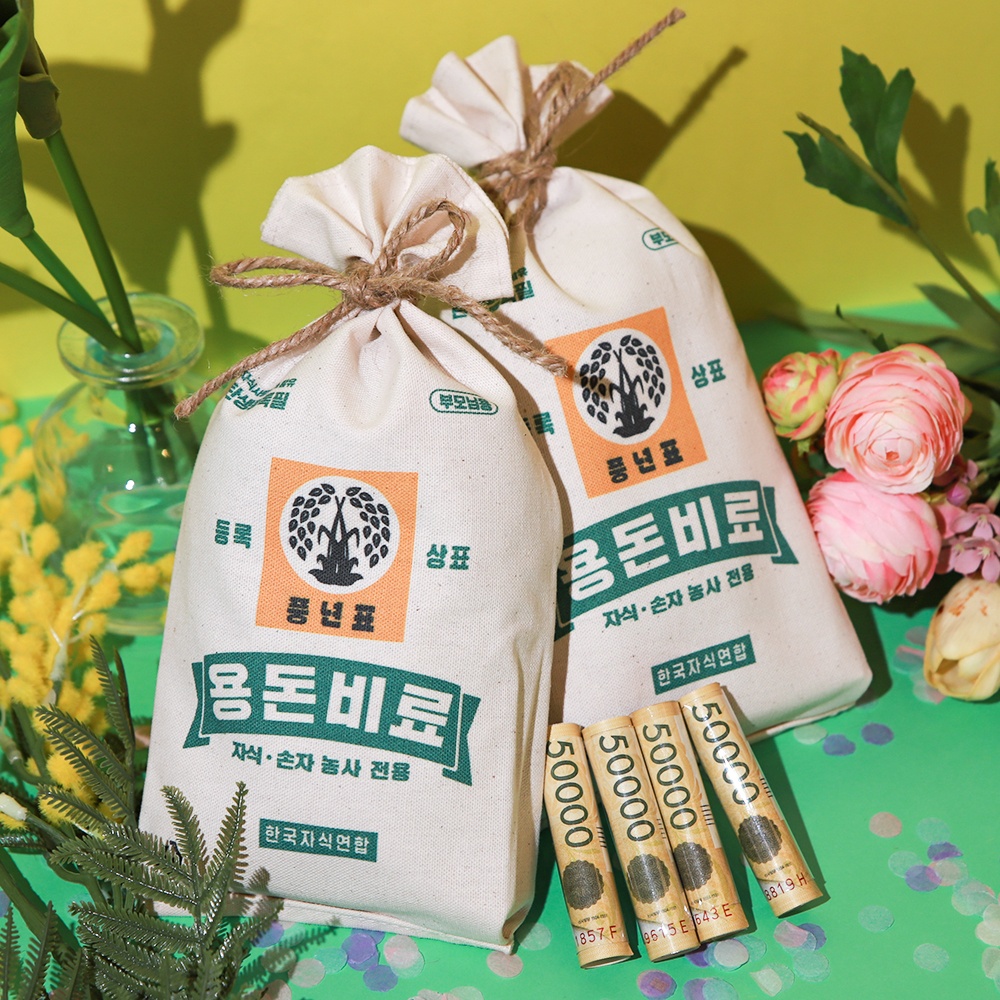 비료 용돈 돈 현금 봉투 [효도 반전 이벤트 박스 어버이날 선물 부모님 생일 생신 포장] - 상품 이미지