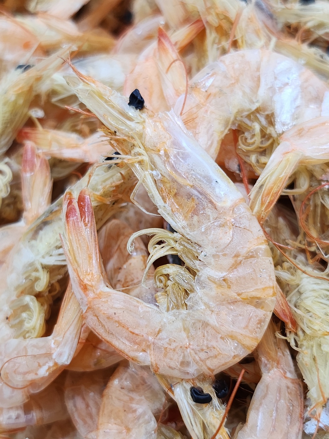 국산 서해안 중하새우 건새우 육수용 200g, 1개 - 메인 이미지
