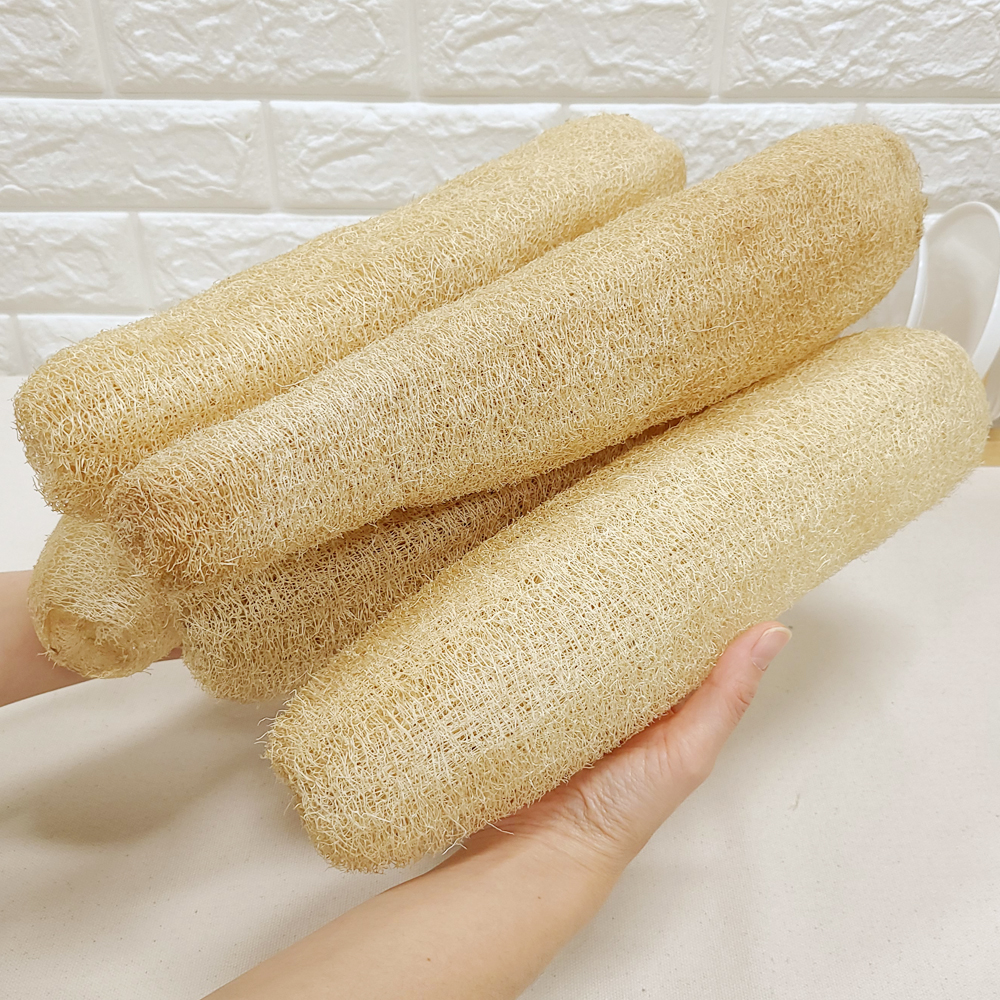 천연수세미 제로웨이스트 주방 설거지 식물 킹 수세미 열매