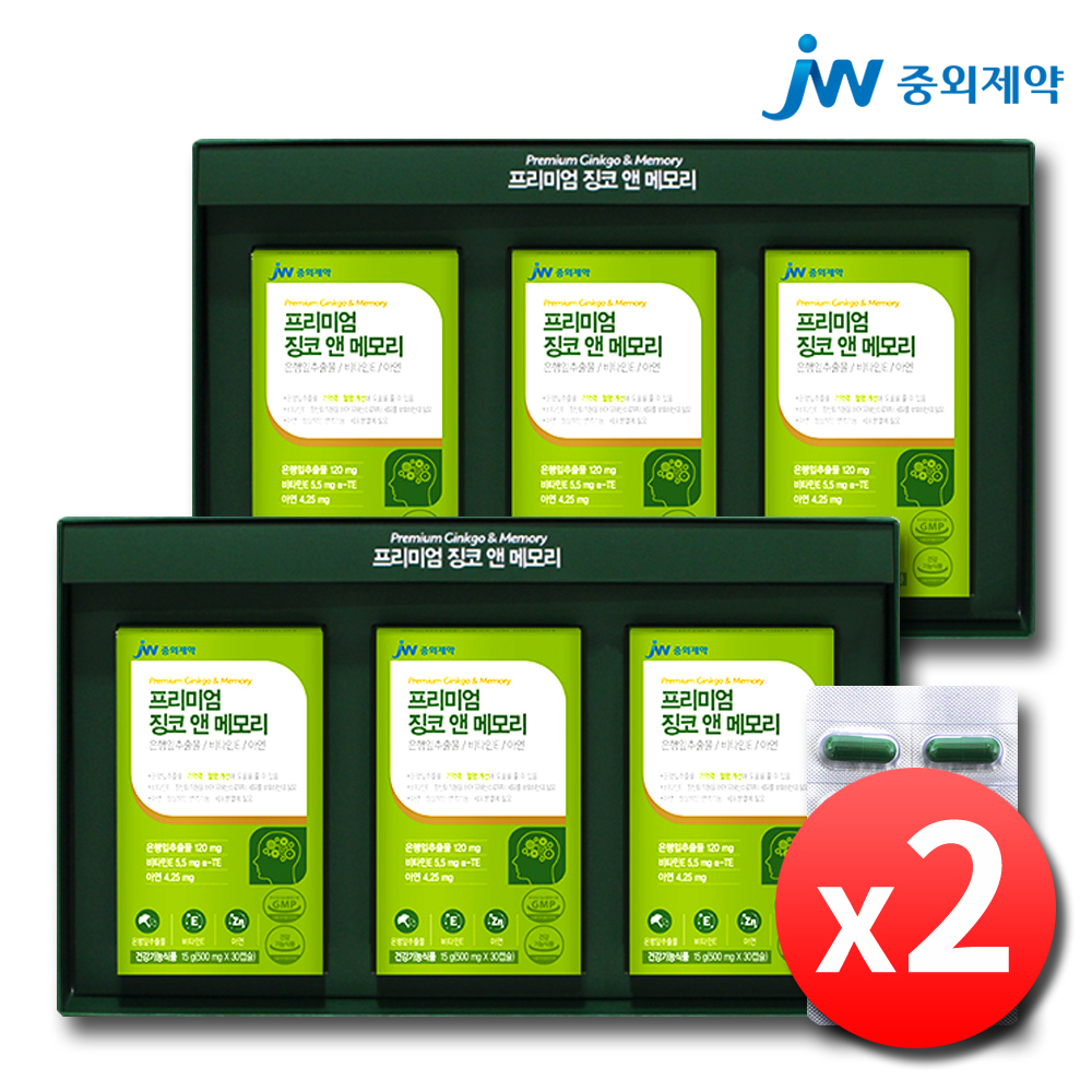 은행잎추출물 영양제 징코플러스 징코빌로바 6개월 - 메인 이미지