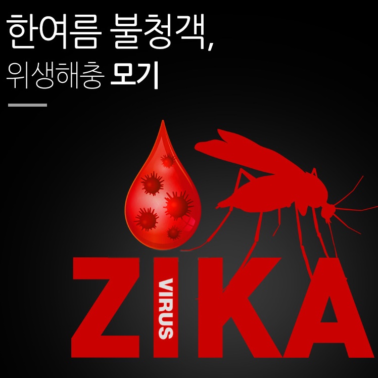 캠핑벌레퇴치기 해충 박멸 날벌레트랩 파리 모기퇴치기 - 상세 이미지 2