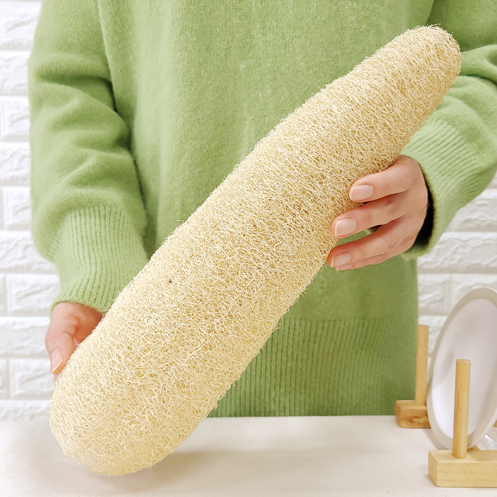 천연수세미 제로웨이스트 주방 설거지 식물 킹 수세미 열매