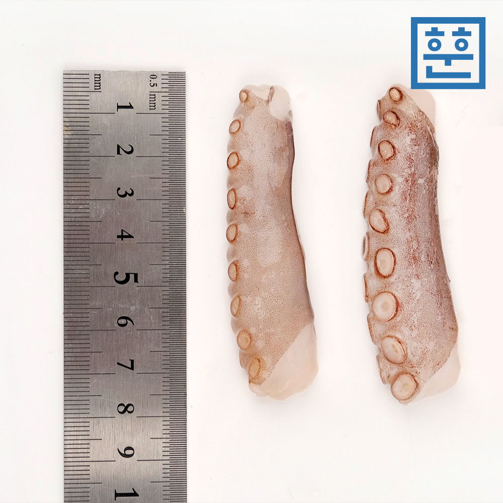 훈훈수산 냉동 절단낙지 손질 낙지볶음 - 상세 이미지 4
