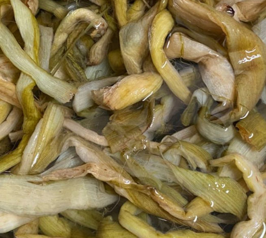 말린 토란대 건토란대(국산) 300g 토란대나물 - 상세 이미지 2