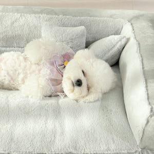 펫테일 강아지 방석 쇼파 침대 리저브 견왕 에디션 L 솔직 후기 | 실제 사용자 리뷰 총정리 - 상품 이미지 2