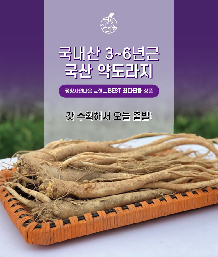 강원더몰 강원더몰