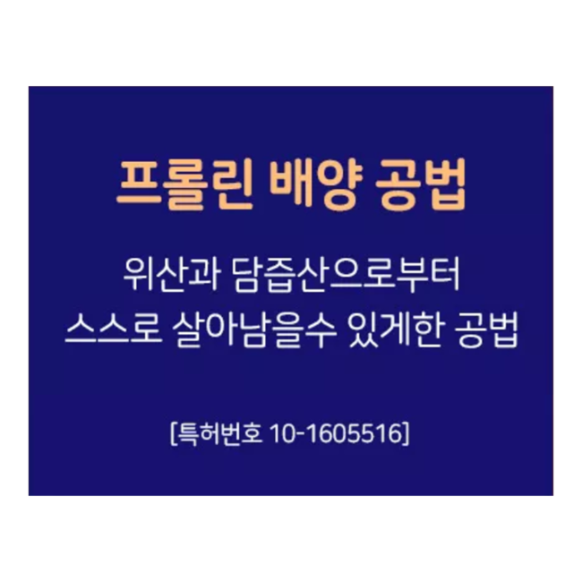 종근당건강 락토핏 코어맥스 생착유산균 (2g x 60포) x 12통 총 720포 - 상세 이미지 5