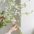 인조 설유화 조팝 싸리 생화같은 조화 꽃 대형 나뭇가지 인테리어 장식 실사용 후기 | 효과 있을까? 썸네일
