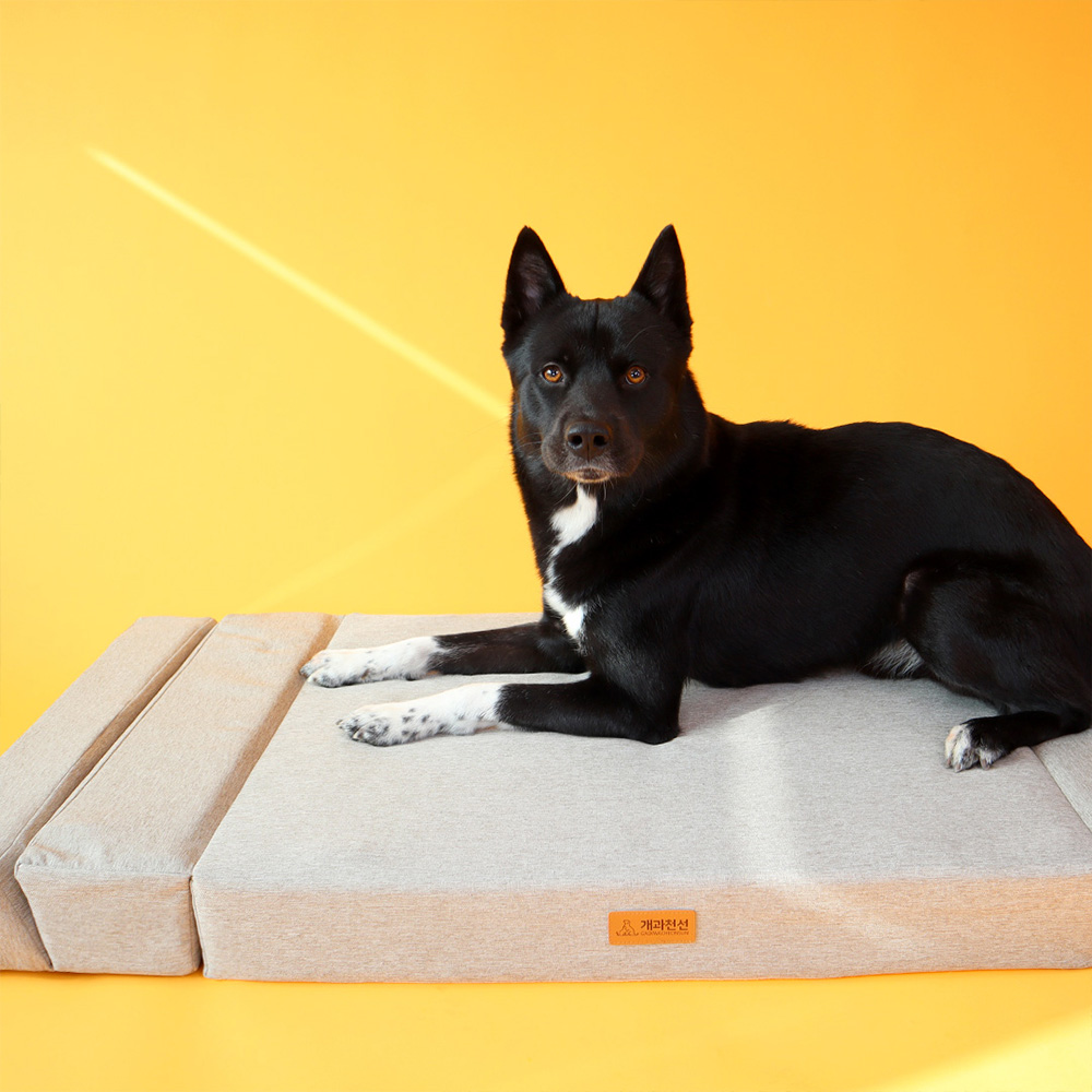 개과천선 접이식 침대 폴더블 애견 방석 강아지방석 슬개골예방 쿠션 초대형견 130cm