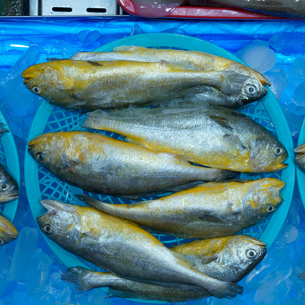 [서울시 일부 배달] 고소하고 맛있는 밥도둑 보리굴비조기 4마리 [신영 진수산] : 동네시장 장보기
