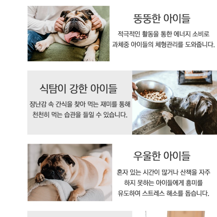 말티즈 반려견 분리 불안 장난감 강아지 간식 장난감 노이즈워크 - 상세 이미지 5