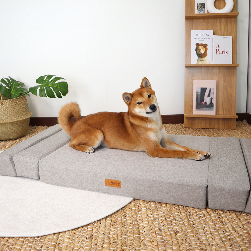 개과천선 접이식 침대 폴더블 애견 방석 강아지방석 슬개골예방 쿠션 초대형견 130cm