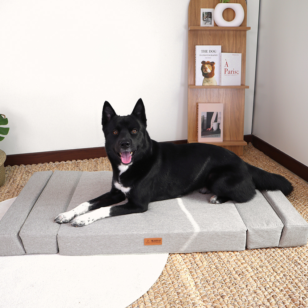 개과천선 접이식 침대 폴더블 애견 방석 강아지방석 슬개골예방 쿠션 초대형견 130cm
