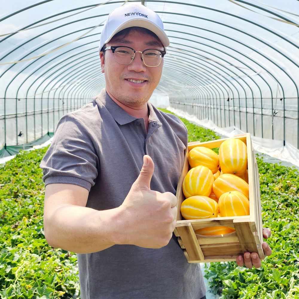 성주참외 후기, 에코푸드 참외, 못난이참외 구매, 가정용 참외 추천, 달콤한 참외 맛집