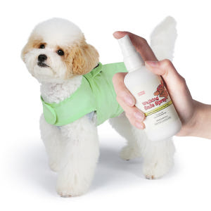 래핑찰리 강아지 산책용품 벌레방지 해충방지 워킹 세이프 스프레이 15ml 솔직 후기 | 실제 사용자 리뷰 총정리 - 상품 이미지 2