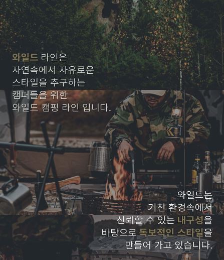 코베아 캠핑 의자 와일드 체어 미니 4단 릴렉스 좌식 - 상세 이미지 4