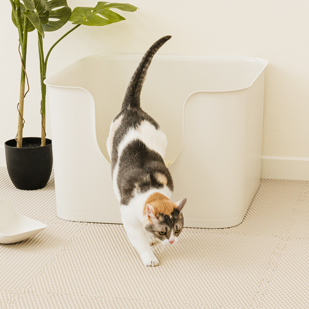 에코폼 고양이 모래매트 사막화방지 화장실 캣 벌집 발판 룰루 매트 60x60x1.2cm