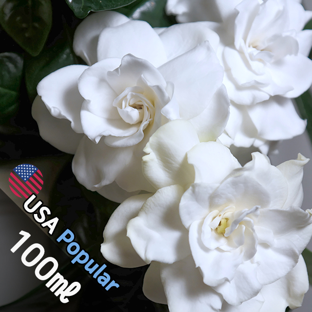 E008 화이트가드니아 100ml (White Gardenia) 프래그런스오일 캔들 디퓨저 향수 : 강군샵