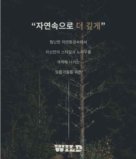 코베아 캠핑 의자 와일드 체어 미니 4단 릴렉스 좌식 - 상세 이미지 3
