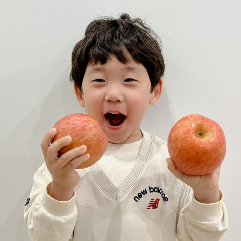 사과 경북 청송 안동 가정용 못난이 부사 5kg 10kg 이미지
