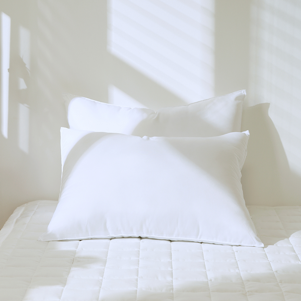 국내생산 지퍼형 항균 새솜 스탠다드 베개솜 50x70cm, 2개