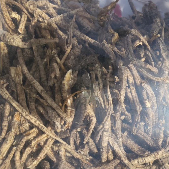 제주 말린 건조 더덕 더덕차 500g 건더덕 국내산 - 상세 이미지 2