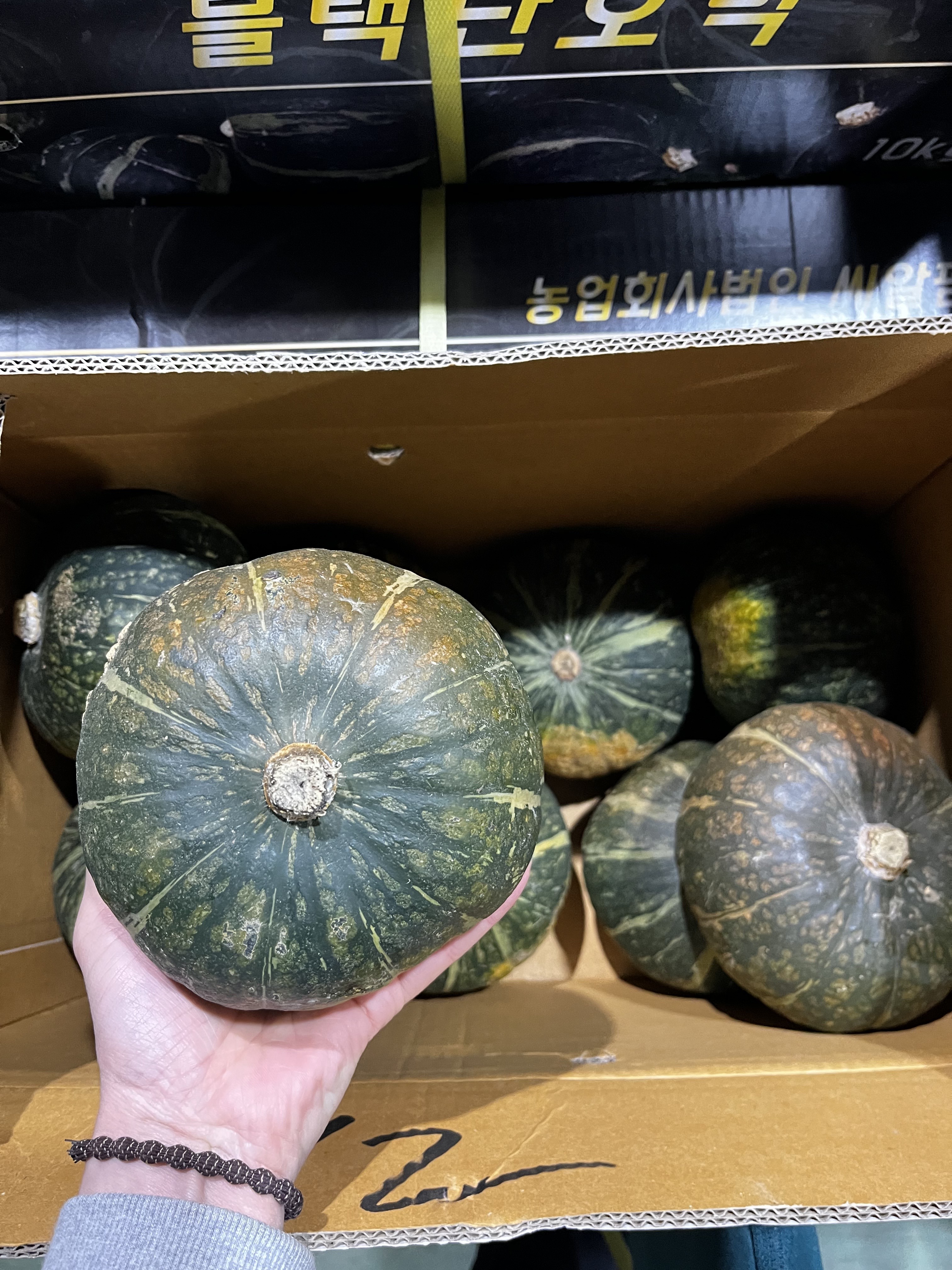 뉴질랜드 단호박 미니 밤호박 1통 2통 3통 4통 5통 2kg 3kg 5kg - 상품 이미지