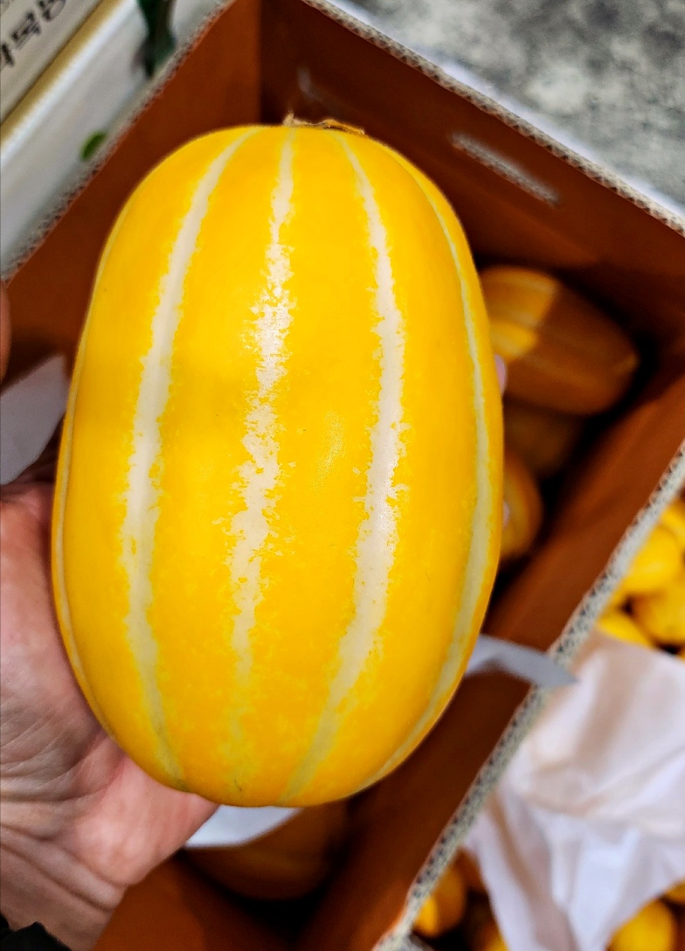 칠곡 고령 다산 성주 참외 3kg 5kg 10kg 가정용 소과 로얄과 혼합과 국내산 - 상세 이미지 2