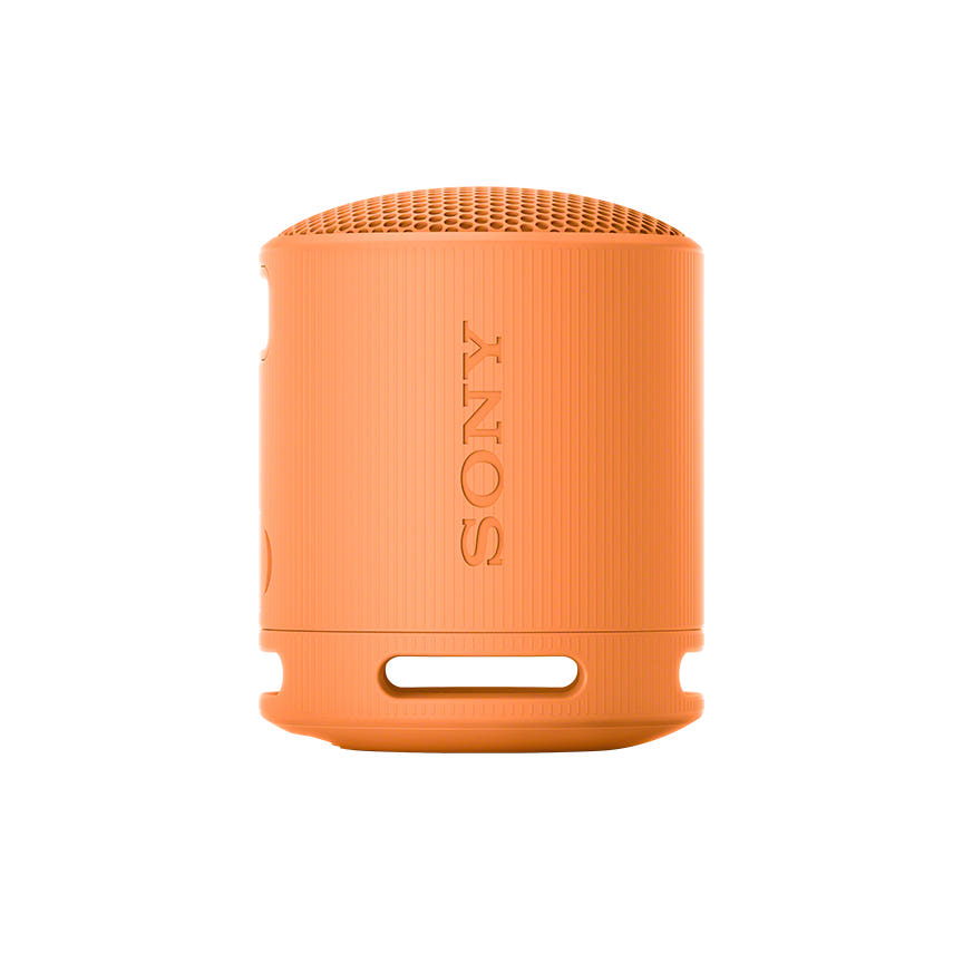 소니 SRS-XB100 야외 활용 이미지 2