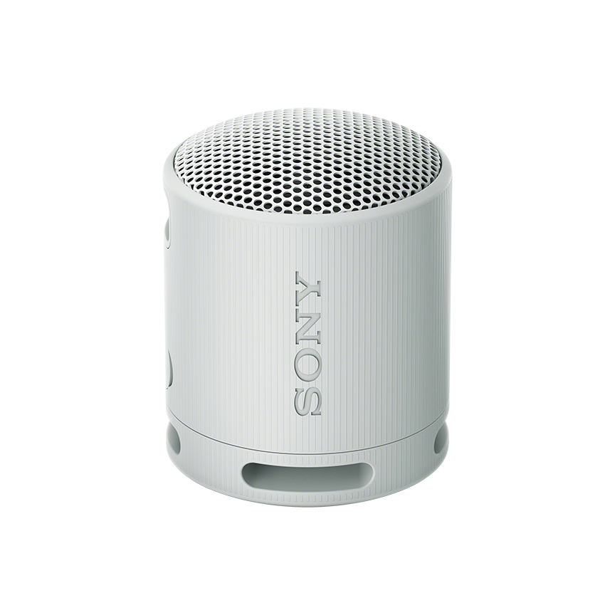 소니 SRS-XB100(라이트그레이) 제품 이미지