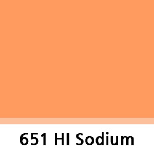 LEEFILTER 651 HI Sodium