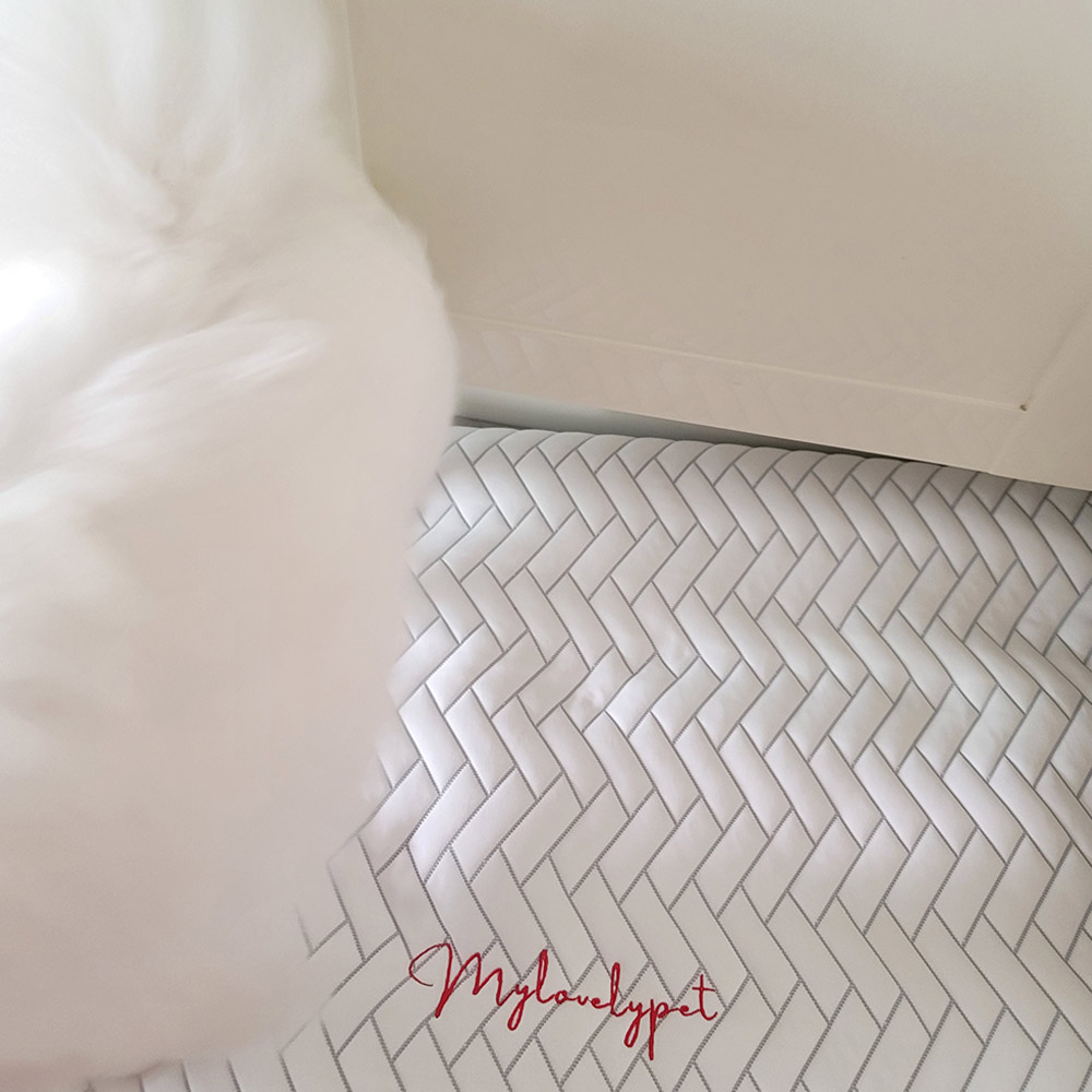 애견 듀라론 쿨매트 M size (앞면)냉감+(뒷면)미끄럼방지 강아지 고양이 반려동물 쿨링