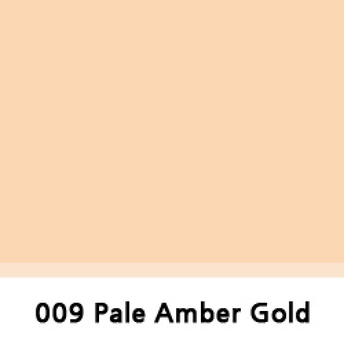 LEEFILTER 009 Pale Amber Gold