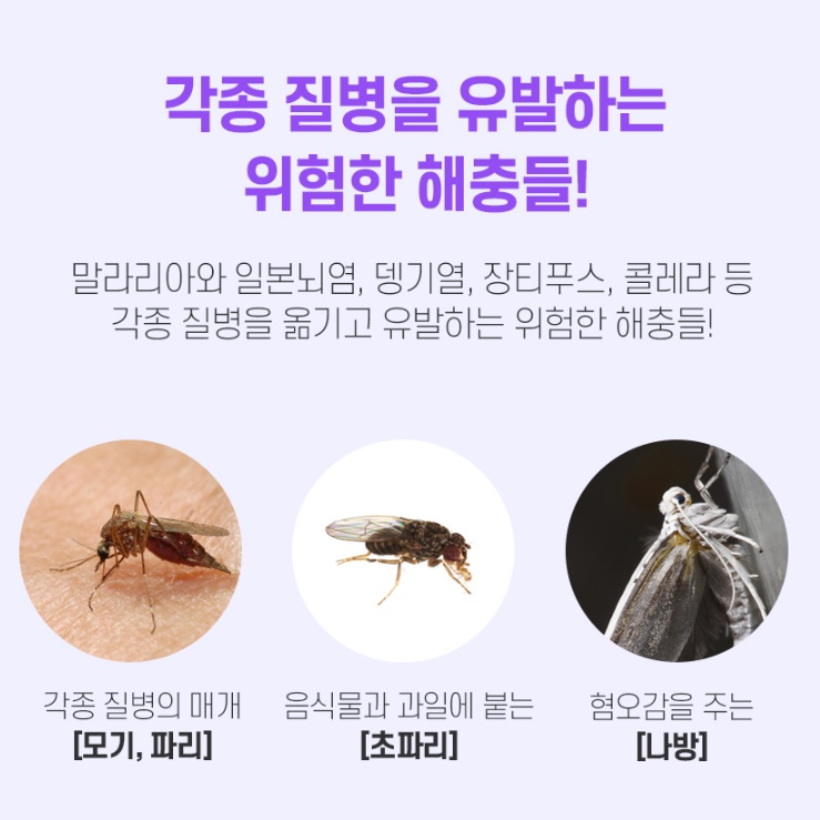 가정용 포충기 실내 포충등 모기 퇴치 기계 업소용 벌레 퇴치기 - 상세 이미지 4