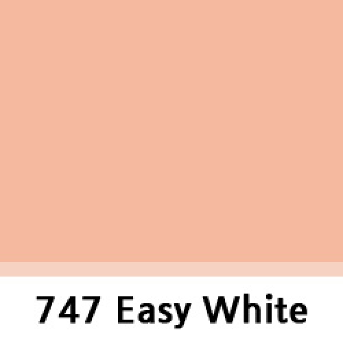 LEEFILTER 747 Easy White
