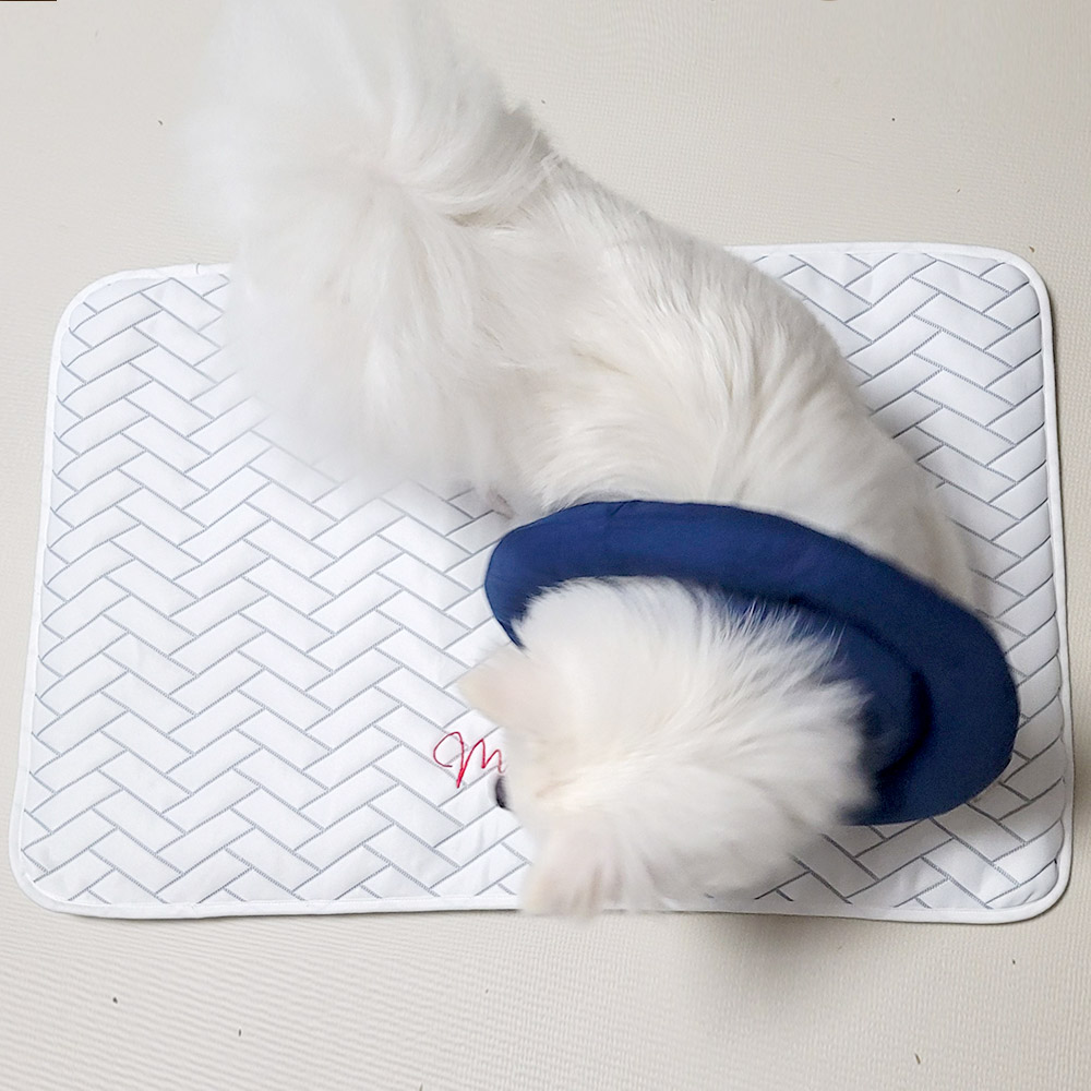 애견 듀라론 쿨매트 M size (앞면)냉감+(뒷면)미끄럼방지 강아지 고양이 반려동물 쿨링