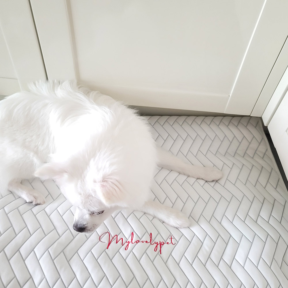애견 듀라론 쿨매트 M size (앞면)냉감+(뒷면)미끄럼방지 강아지 고양이 반려동물 쿨링