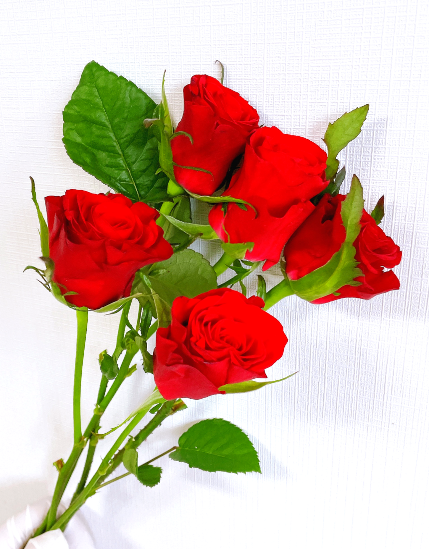 장미 핑크 빨간 꽃 선물 5송이 생화택배 생화 꽃다발 양재꽃시장 꽃배달 꽃배달싼곳 - 상세 이미지 4