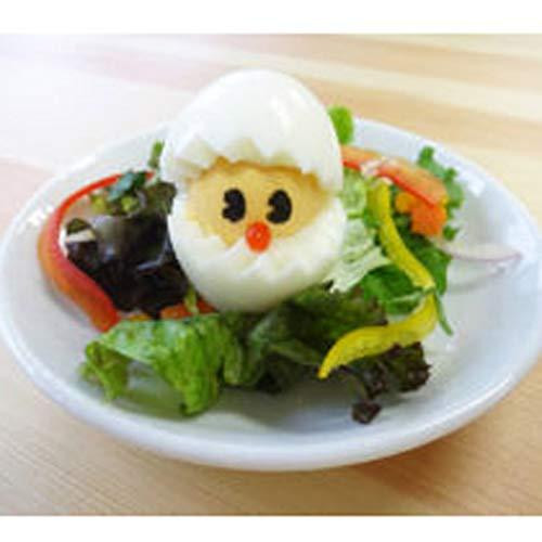 계란꽃 코론 KK-265 - 하카타몰