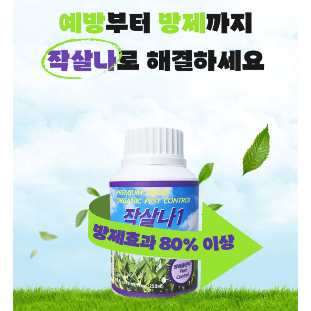 작살나 유기농 살충제 고삼효과- 고추 배추 진딧물 약 좀 나방 파밤 총채 벌레 응애 천연 250ml - 상세 이미지 2