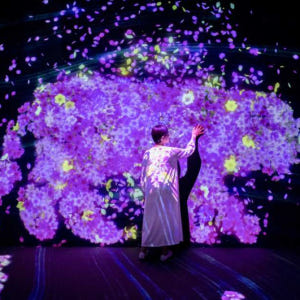 일본 후쿠오카 팀 랩 (teamLab) 포레스트 SBI 증권 입장권 솔직 후기 | 실사용자 리뷰 분석 - 상품 이미지 3