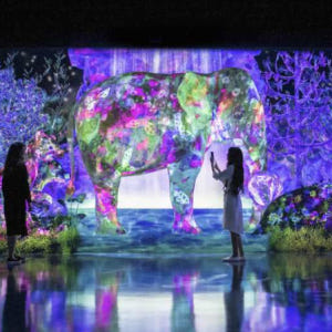 일본 후쿠오카 팀 랩 (teamLab) 포레스트 SBI 증권 입장권 솔직 후기 | 실사용자 리뷰 분석 - 상품 이미지 2