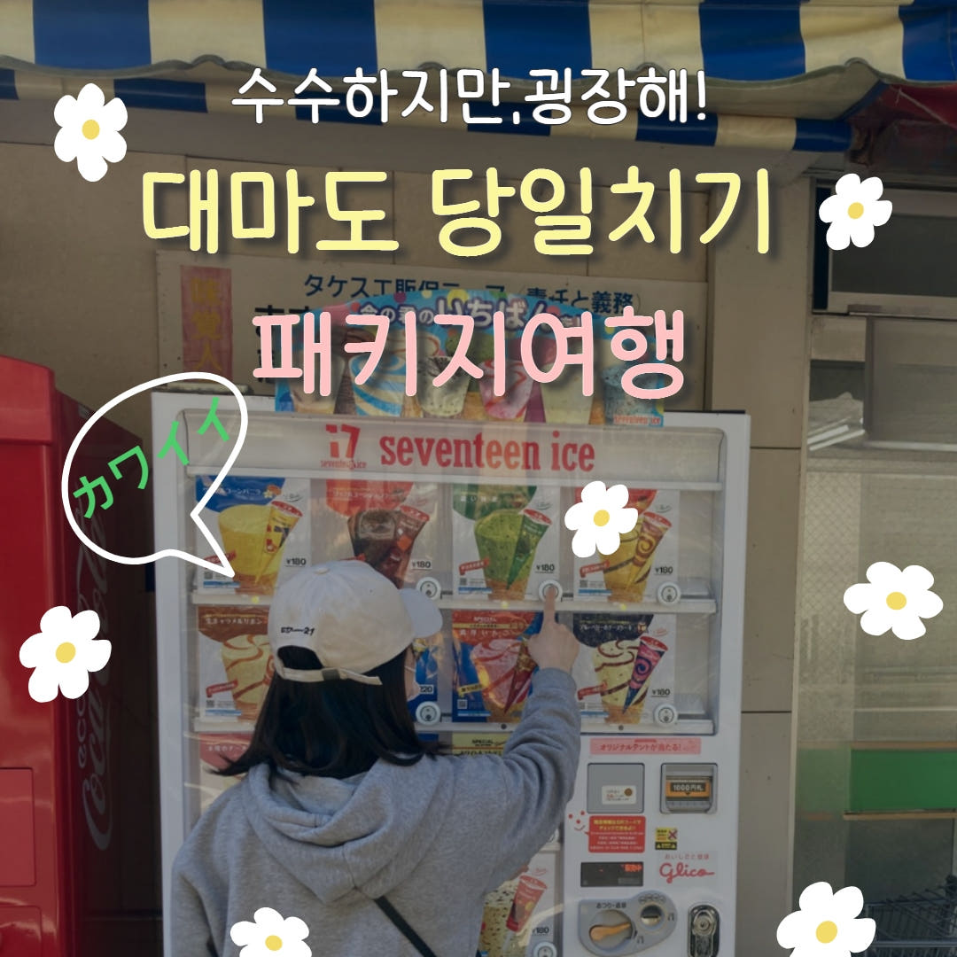 ONEPICK TOUR 부산출발 배편 노바호 대아고속 씨플라워 쓰시마링크 대마도 원데이 버스투어 당일 패키지