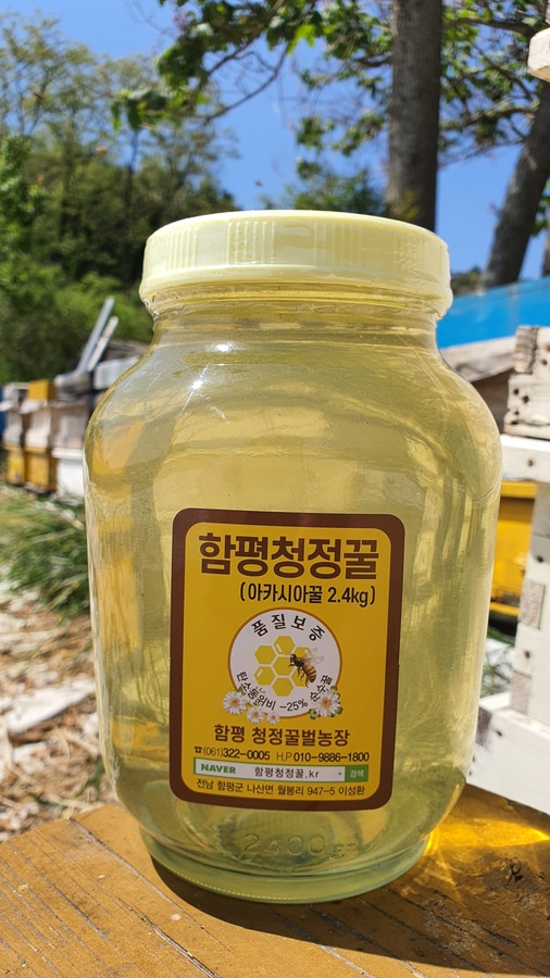 함평청정 벌꿀 자연산 아카시아꿀 유리병 2.4kg 이미지 4